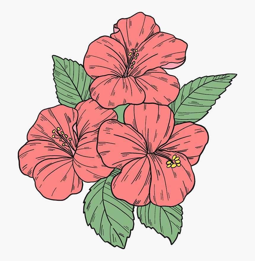 Pink Hibiscus Flowers Clipart - Hawaiian Hibiscus, HD Png Download, Free Download