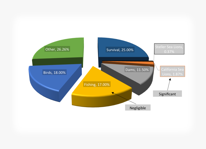 Be Enough To Show That The Sea Lions Are Not Posing - Pivot Chart Png, Transparent Png, Free Download