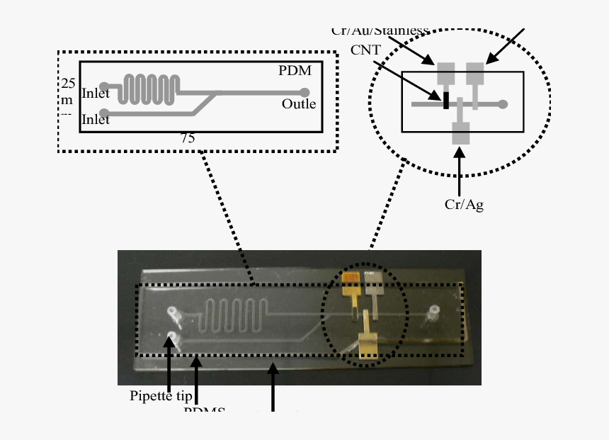 Diagram, HD Png Download, Free Download