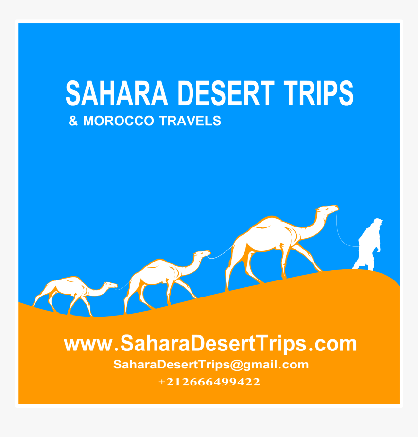 Arabian Camel, HD Png Download, Free Download