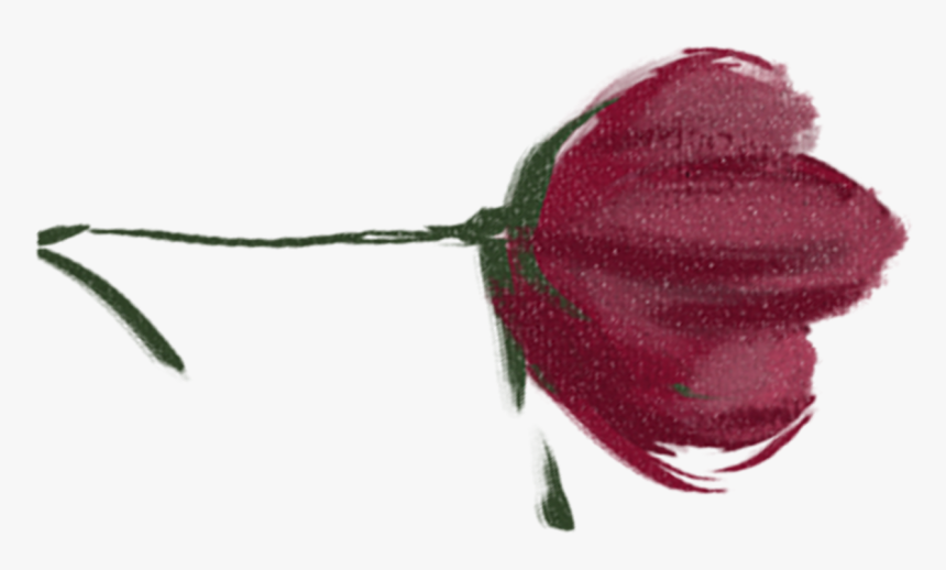 Rose, HD Png Download, Free Download