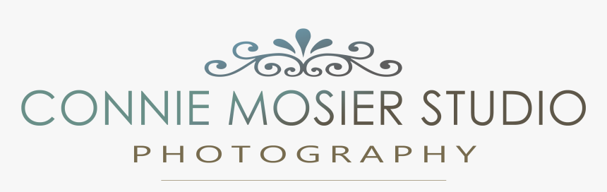 Connie Mosier Studio - Calligraphy, HD Png Download, Free Download