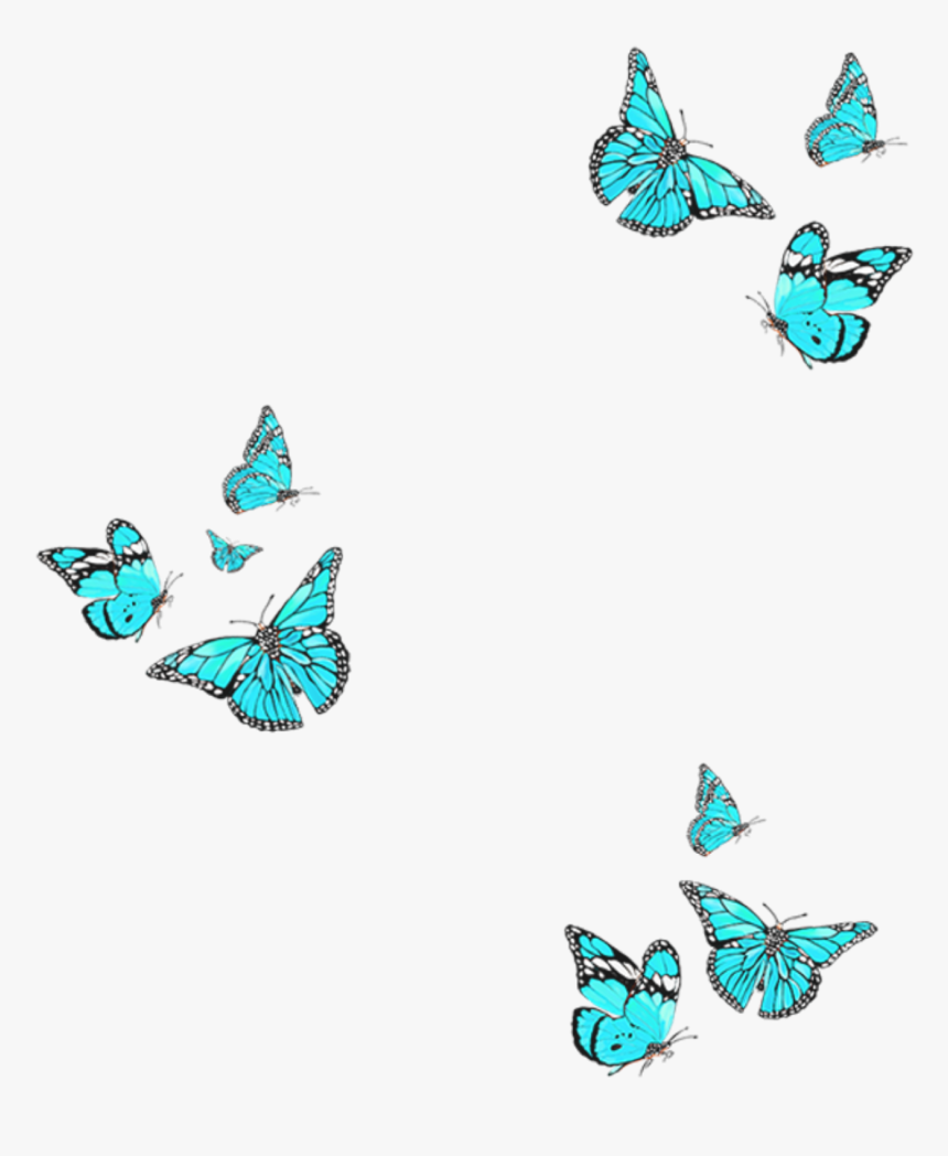Freetoedit Remixit Butterfly Overlay Bluebutterfly - Butterfly Overlay Free, HD Png Download, Free Download