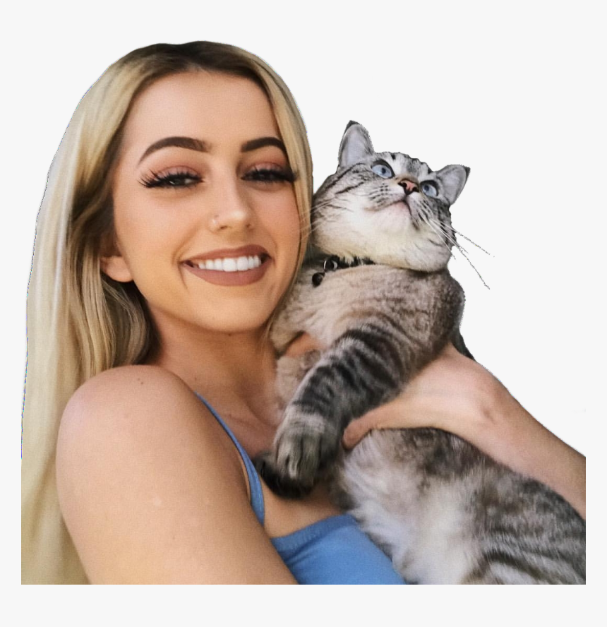 Transparent, Editing Needs, Lycia Faith And Png - Domestic Short-haired Cat, Png Download, Free Download
