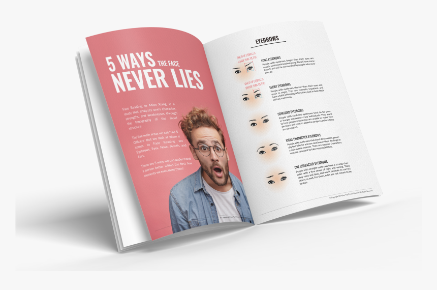 Flyer, HD Png Download, Free Download