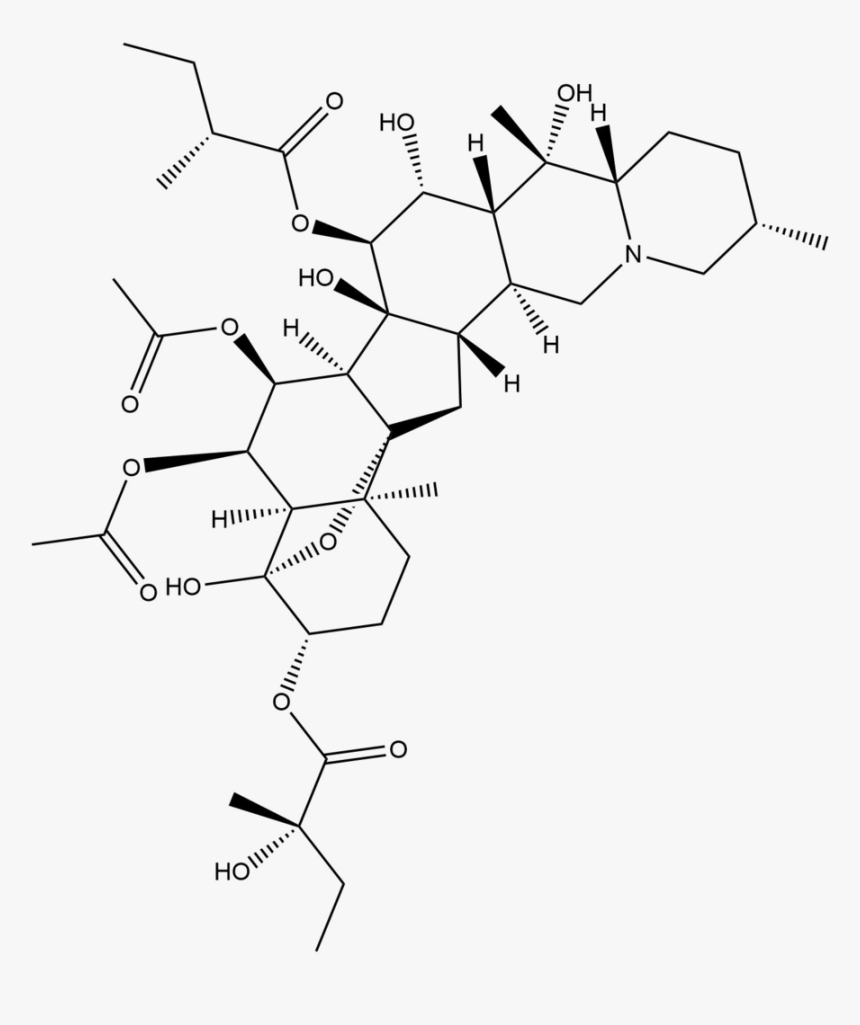 Veratrum Album Alkaloids, HD Png Download, Free Download