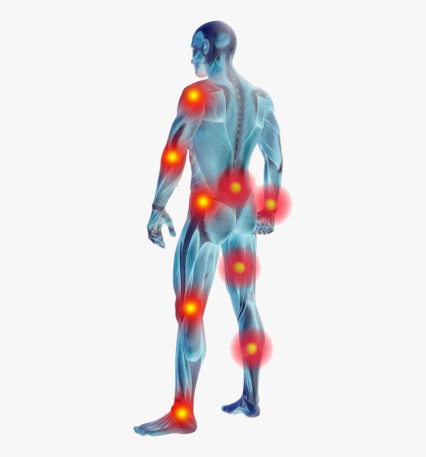 Muscle Pain Png, Transparent Png, Free Download