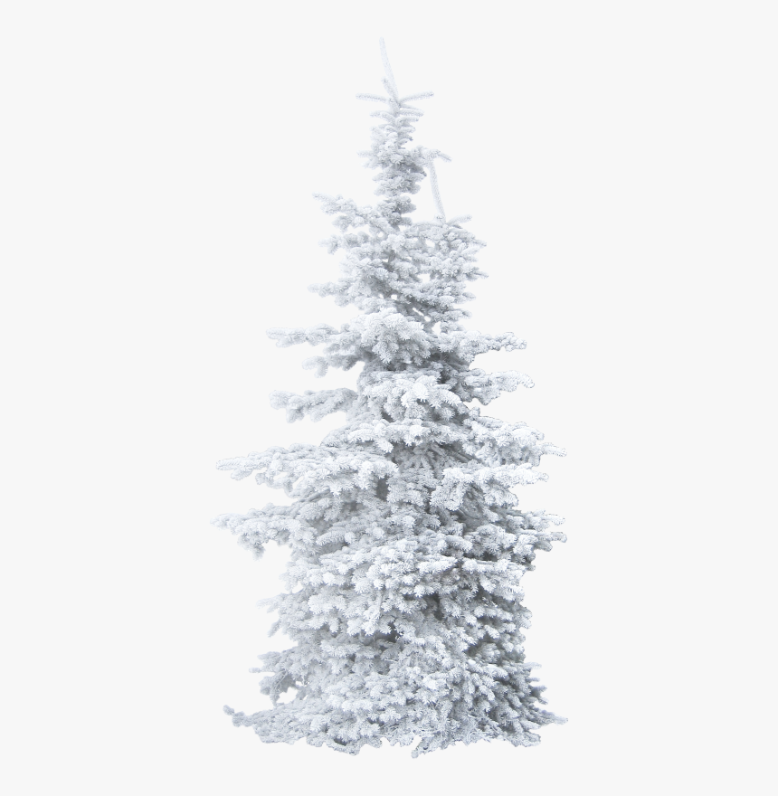 Tube Sapin Neige Png, Transparent Png, Free Download