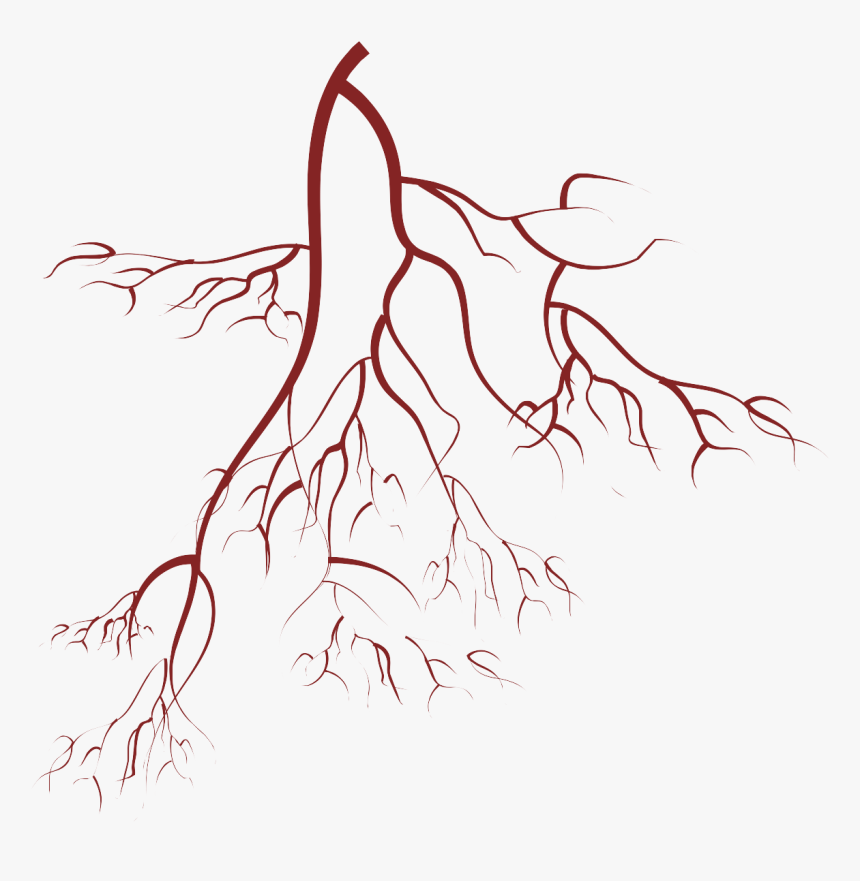 Root Consulting - Sketch, HD Png Download, Free Download