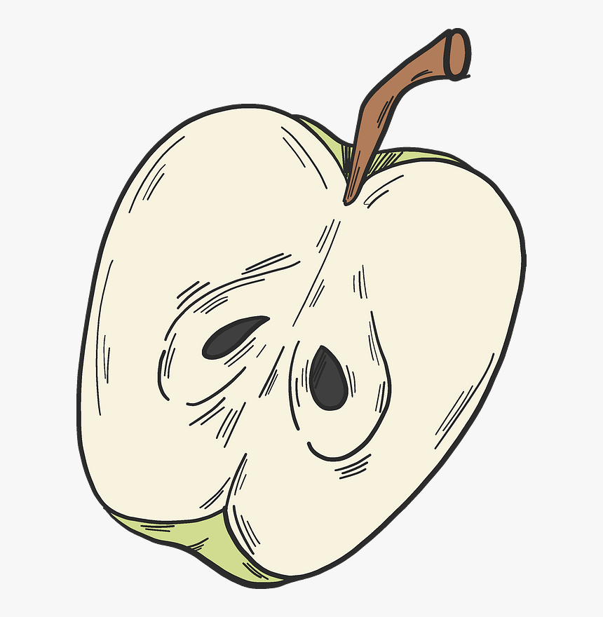 Half Apple Clipart - Illustration, HD Png Download, Free Download