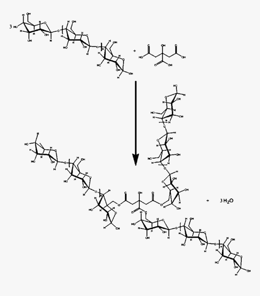 One Possible Polycondensation Reaction Between Maltodextrin - Barbed Wire, HD Png Download, Free Download