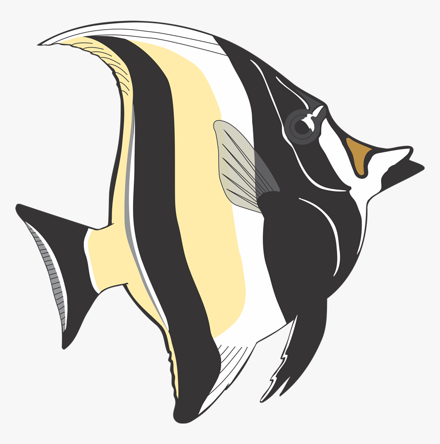 Angelfish Tropical Fish Clip Art - Clip Art Angel Fish, HD Png Download, Free Download