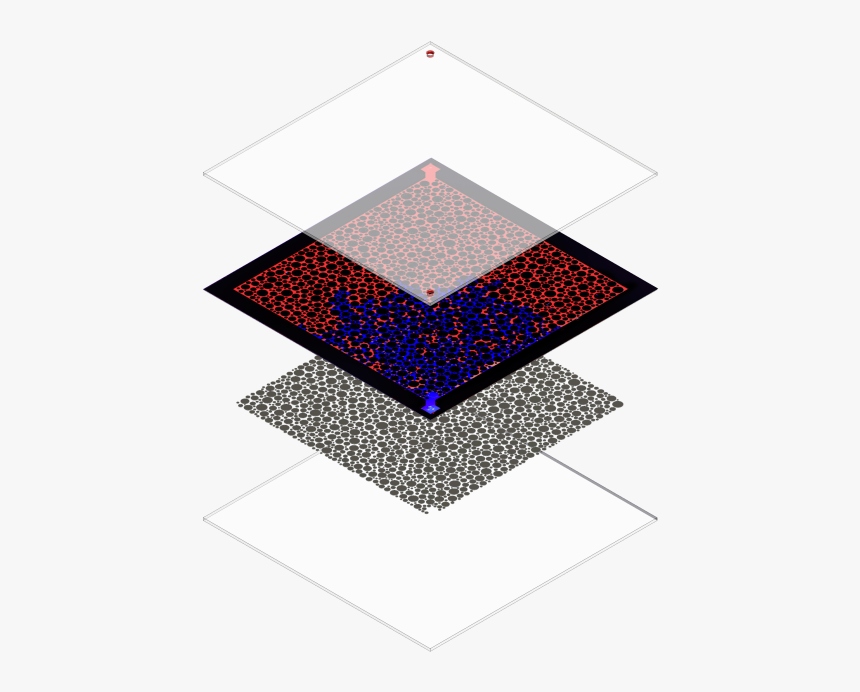 Chip - Microfluido Png, Transparent Png, Free Download