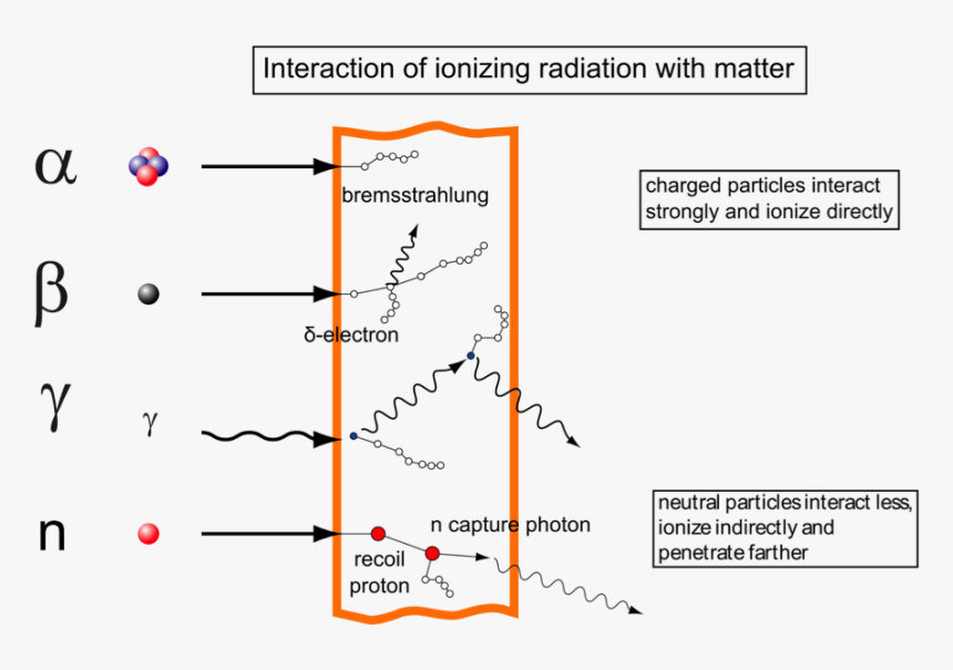 The Various Types Of Radiation Interacting With Matter, - Alpha Particle Dna Damage, HD Png Download, Free Download