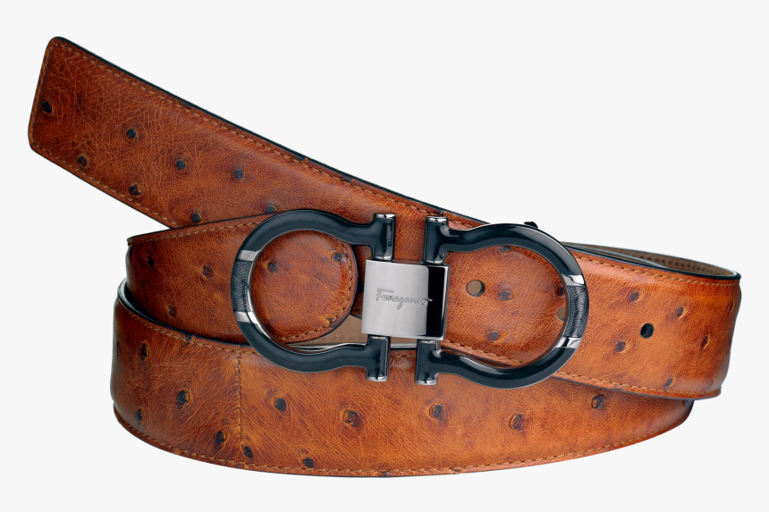 "
 Itemprop="contenturl"
 Class="article Hero Image, HD Png Download, Free Download