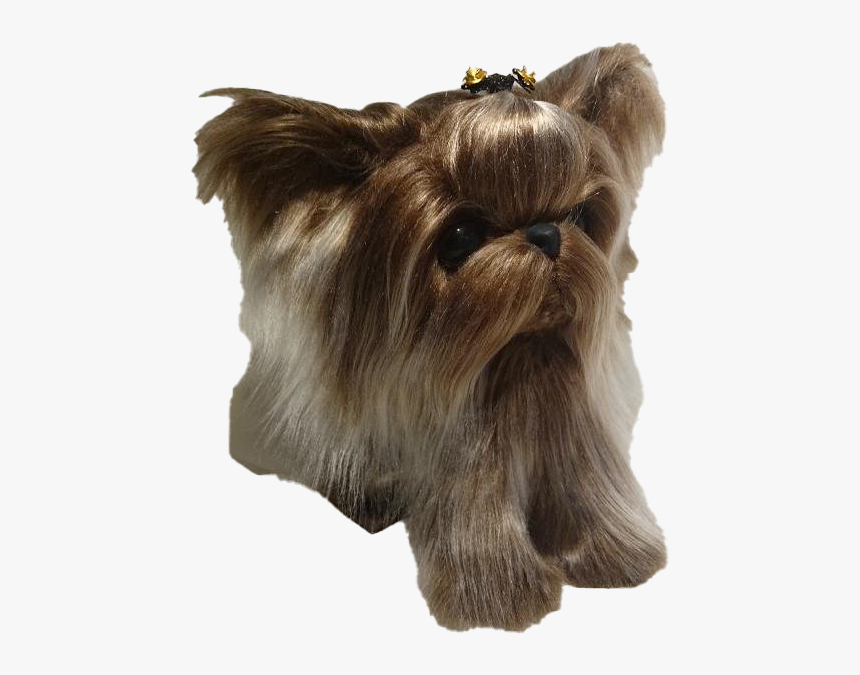 Yorkshire Terrier Puppy Png Picture - Yorkshire Terrier, Transparent Png, Free Download