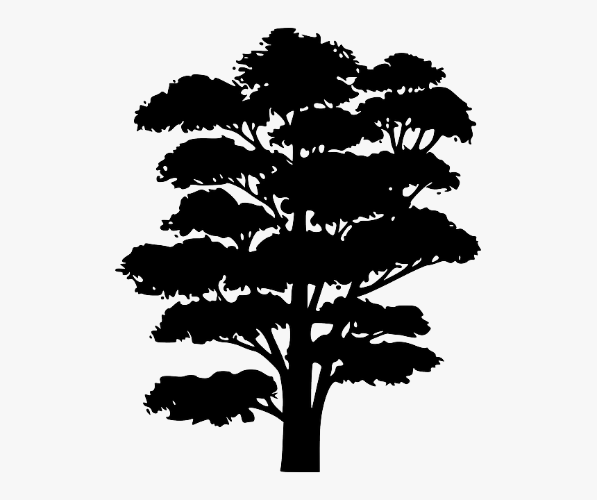 Tree Silhouette Shapes, HD Png Download, Free Download