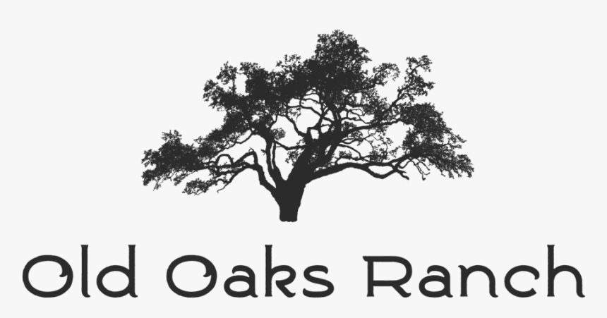 Hd Old Oaks Ranch Fb-8 Format=1500w Transparent Png - Silhouette, Png Download, Free Download