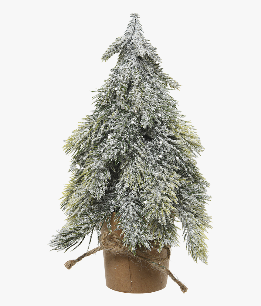 Artificial Christmas Tree In A Carton Pot, Snowy, - Christmas Tree, HD Png Download, Free Download