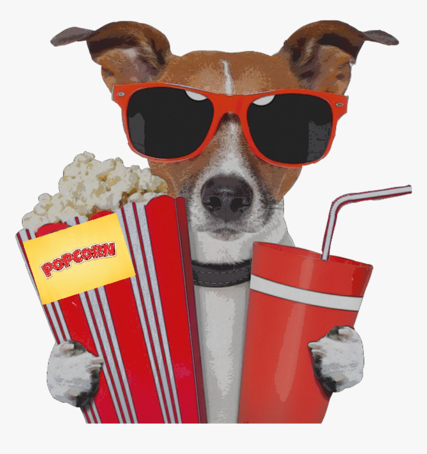 Dog Movie Sunglass Popcorn Movietheater Movietime Red - Jack Russell Terrier Sunglasses, HD Png Download, Free Download
