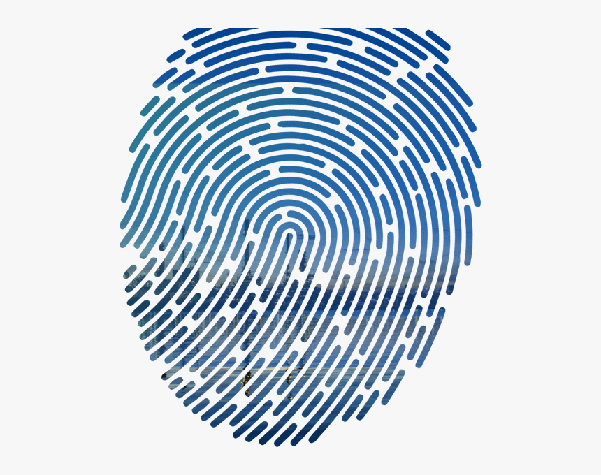 Fingerprint Vector, HD Png Download, Free Download