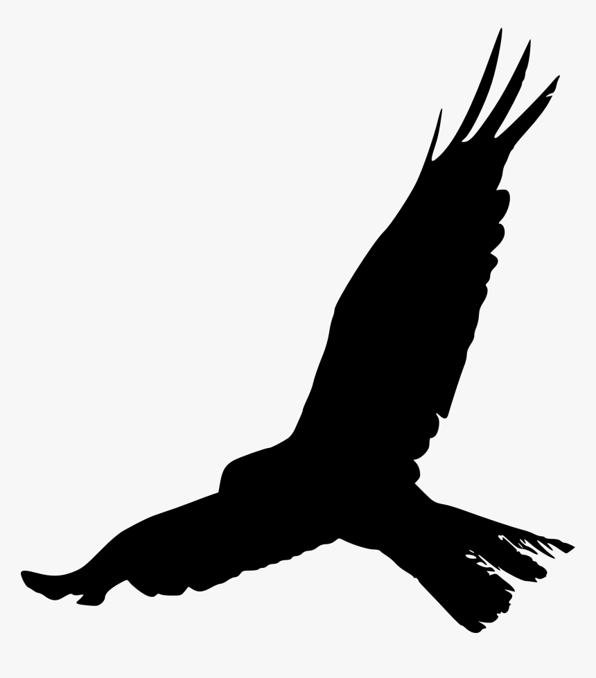 Bird Crows Silhouette Beak Feather - Free Bird Silhouette Png, Transparent Png, Free Download