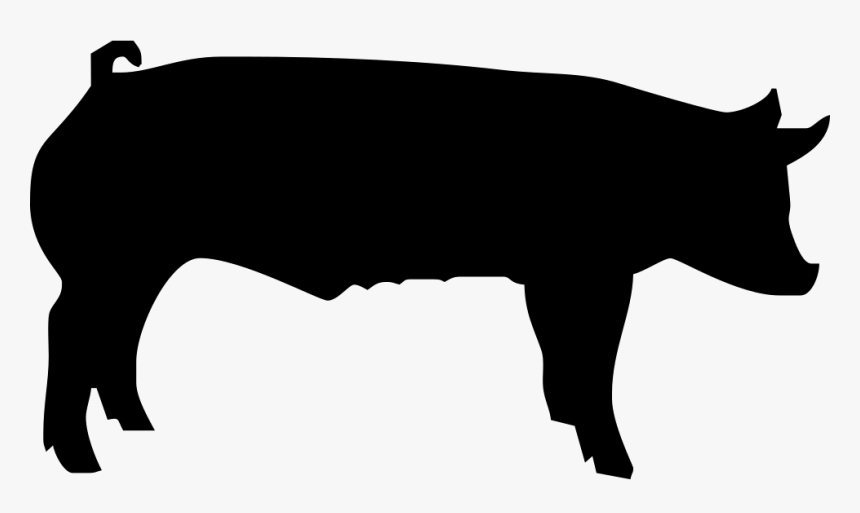 Fattening Pig - Show Pig, HD Png Download, Free Download