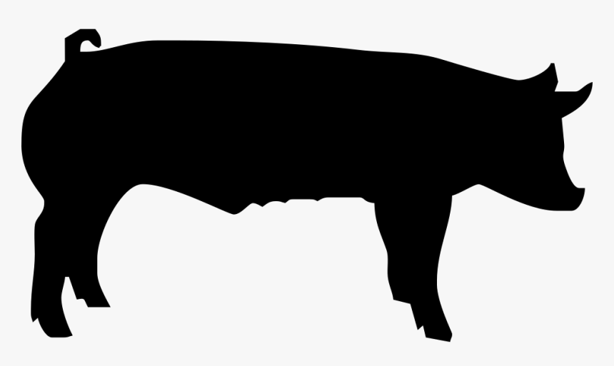 Fattening Pig - Show Pig, HD Png Download - kindpng