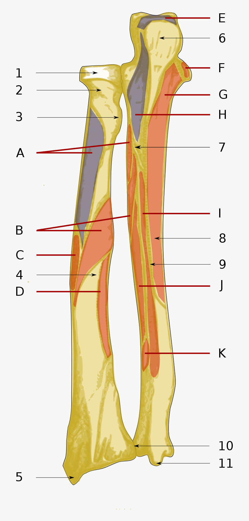 Diagram, HD Png Download, Free Download