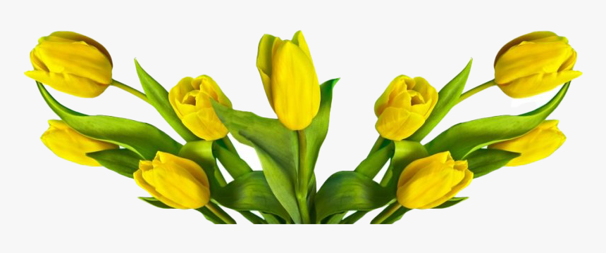 Easter Flower Transparent Png - Easter Flowers Png, Png Download, Free Download