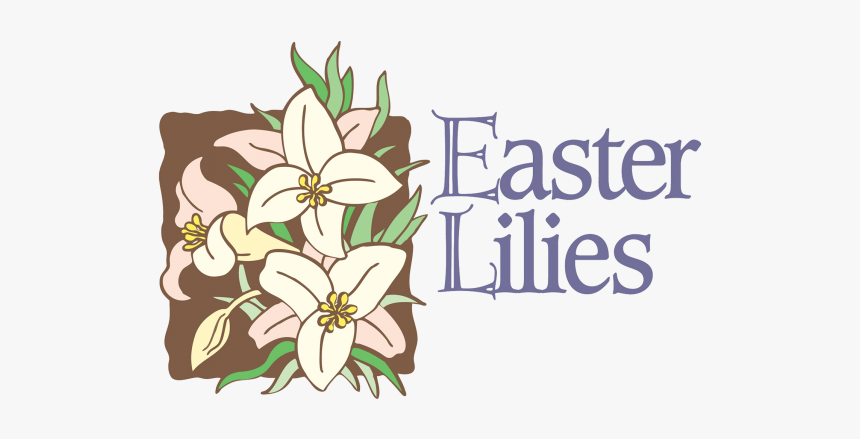 Easter Lilies - Easter Lilies For The Church, HD Png Download, Free Download