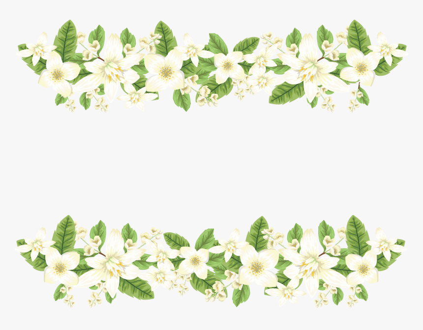 Transparent Jasmine Flower Png - Transparent Jasmine Flowers Png, Png Download, Free Download