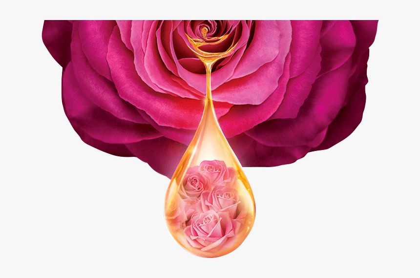 Floral Fusion Oil - Shower Gel, HD Png Download, Free Download