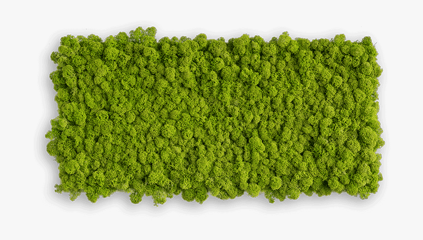 Nature Wall Decor, Artic Rectangular Moss Wall Art, - Artificial Turf, HD Png Download, Free Download