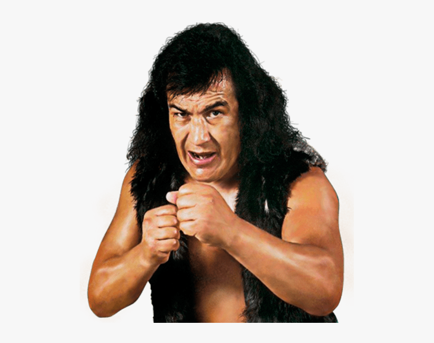 El Perro Aguayo De La Lucha Libre, HD Png Download, Free Download