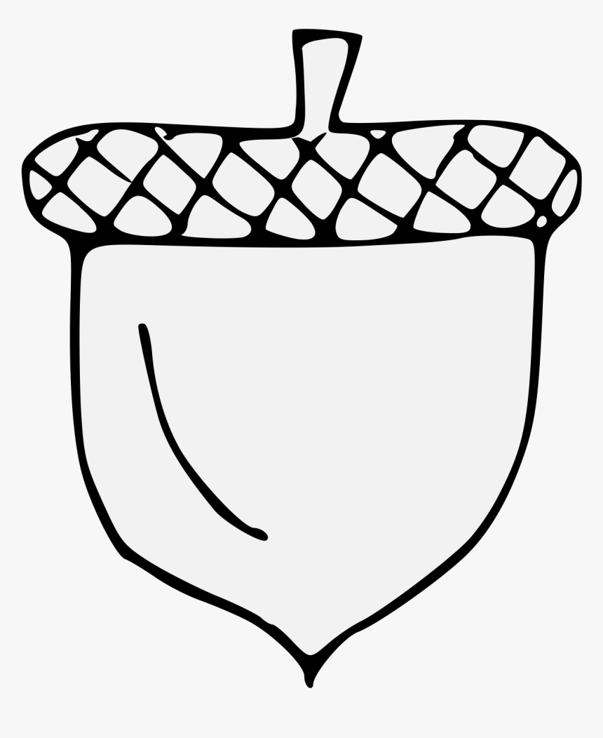 Line Art - Acorn Traceable, HD Png Download, Free Download