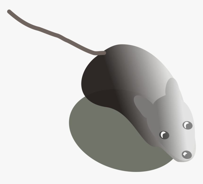 Technology,computer Icons,computer Mouse - Fish, HD Png Download, Free Download