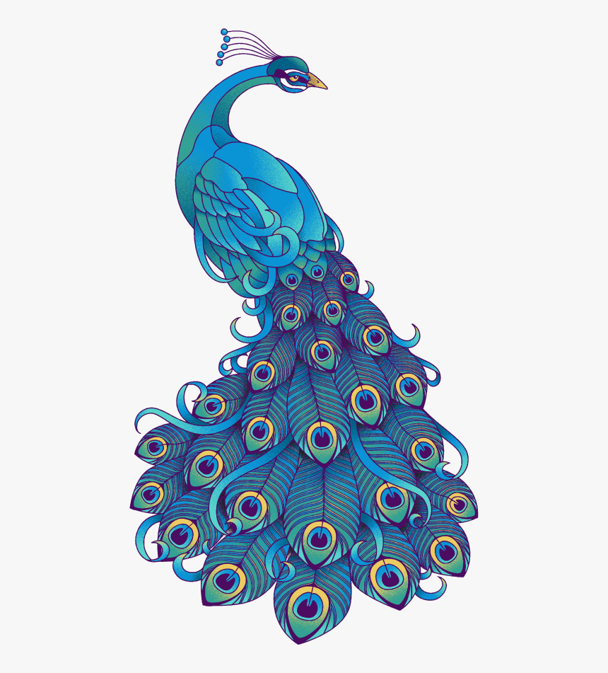 Transparent Peacock Clipart - Design Peacock, HD Png Download, Free Download