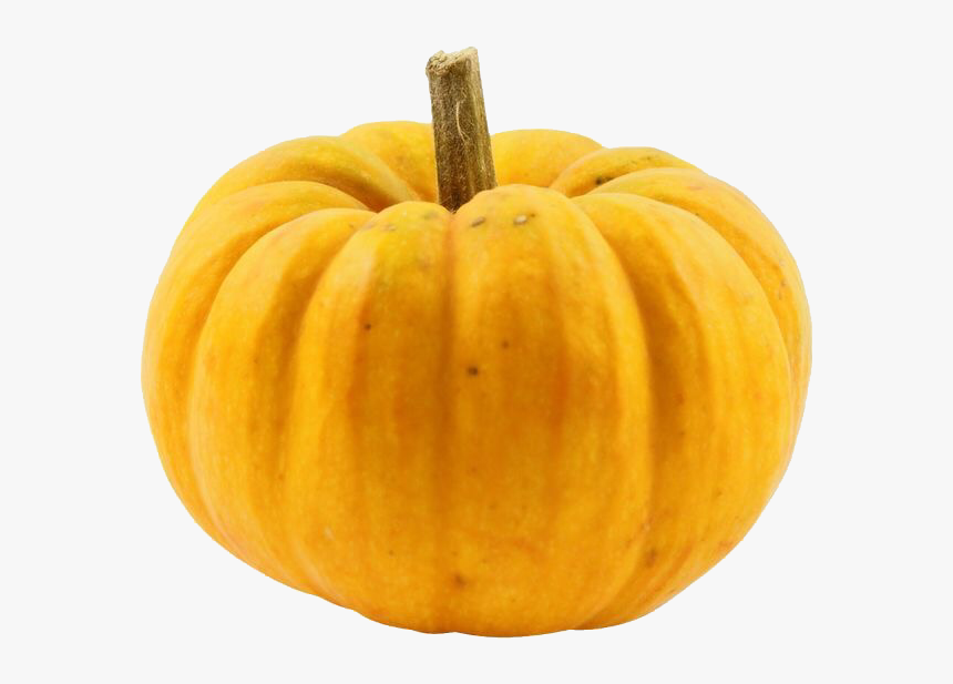 Transparent Acorn Squash Clipart - Pumpkin, HD Png Download, Free Download