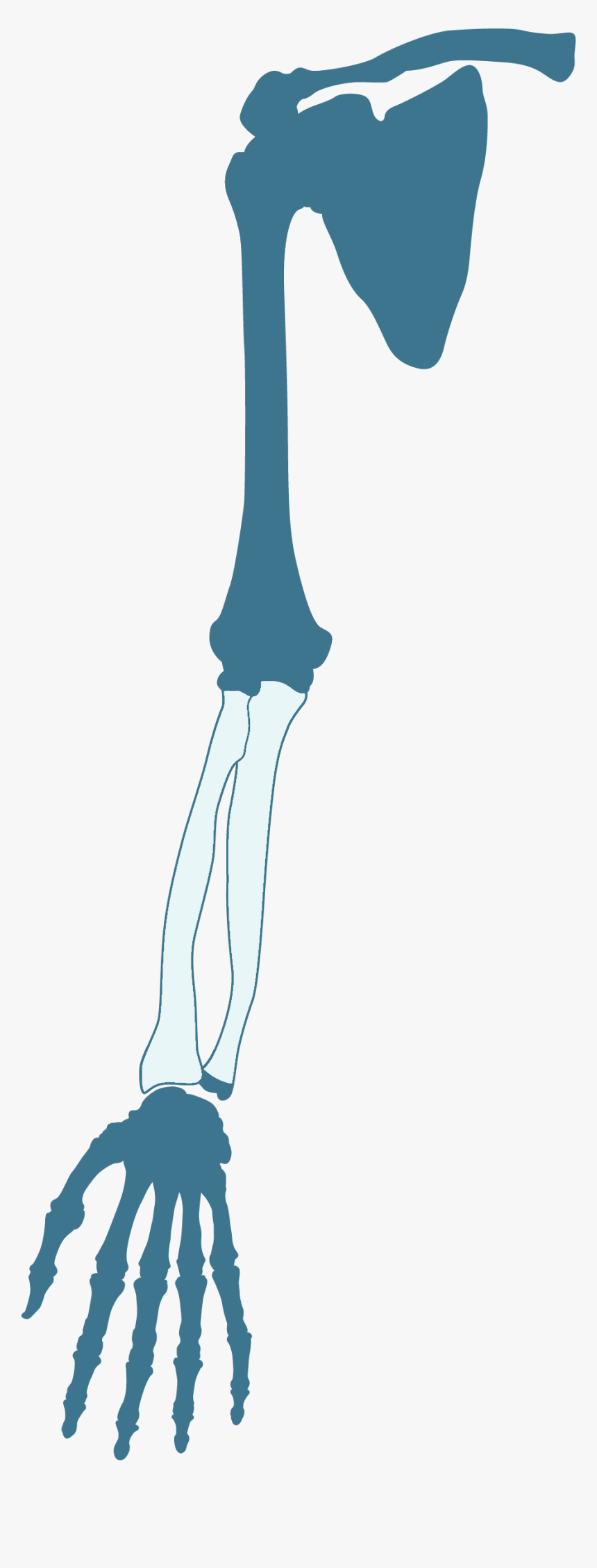Illustration, HD Png Download, Free Download