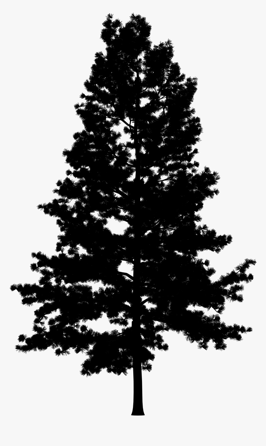 Pine Portable Network Graphics Vector Graphics Tree - Dark Pine Tree Png, Transparent Png, Free Download