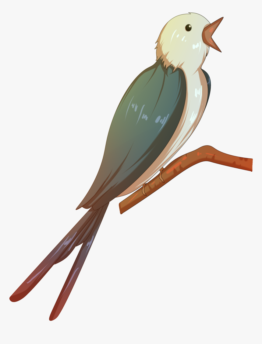 Transparent Swallow Clipart - Illustration, HD Png Download, Free Download