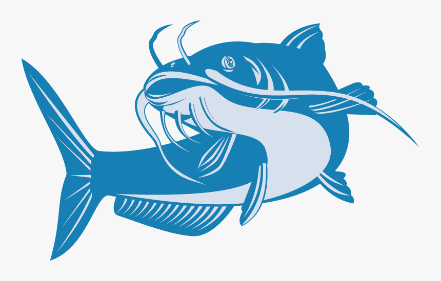 Transparent Catfish Logo, HD Png Download, Free Download