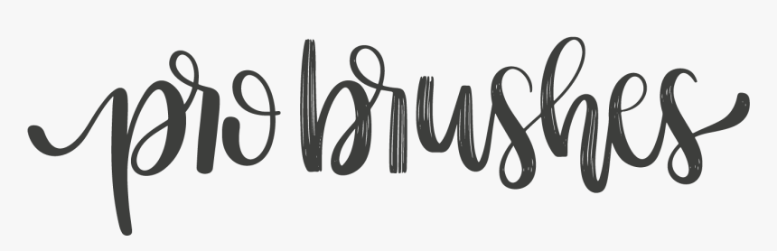 Probrushes - Net - Calligraphy, HD Png Download, Free Download