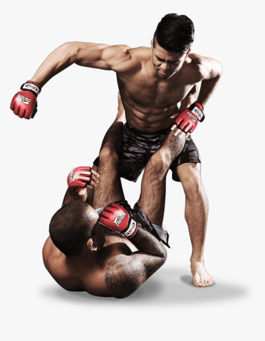 Mma Fight Png Picture - Mma Png, Transparent Png, Free Download