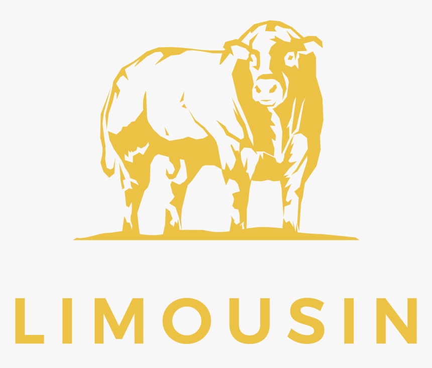 Limousin Cow Logo, HD Png Download, Free Download