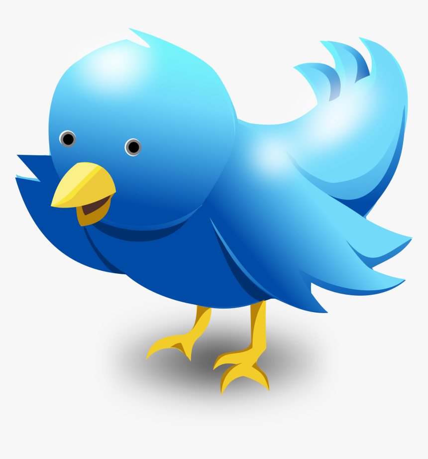 Vector Twitter Bird Png, Transparent Png, Free Download