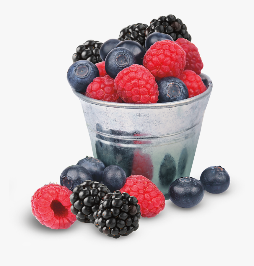 Wildberry Png, Transparent Png, Free Download