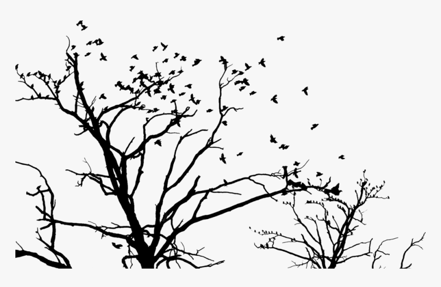 Share This Image - Birds In A Tree Clipart Black And White, HD Png Download, Free Download
