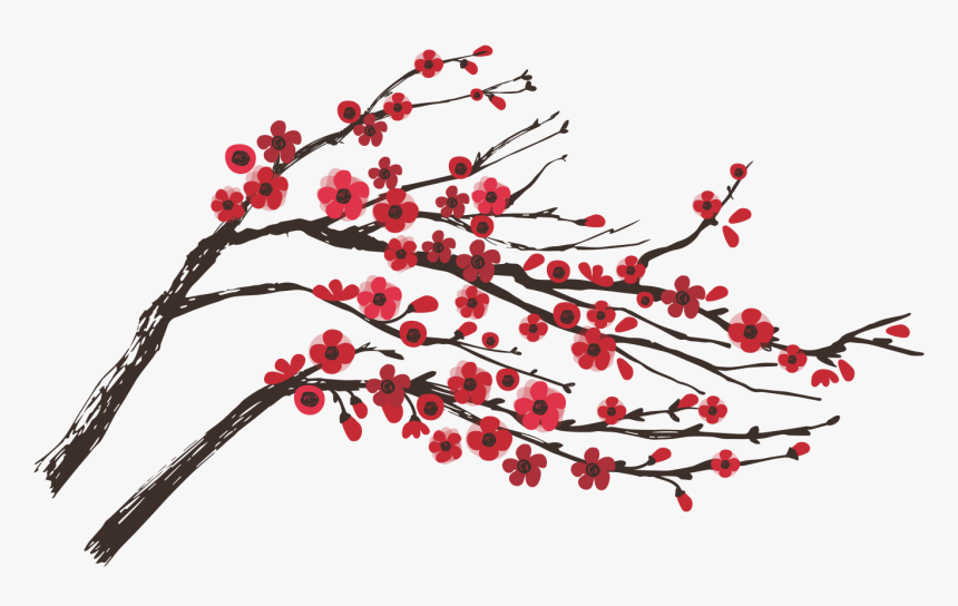 Winter Berry Png - Ilex Decidua, Transparent Png, Free Download